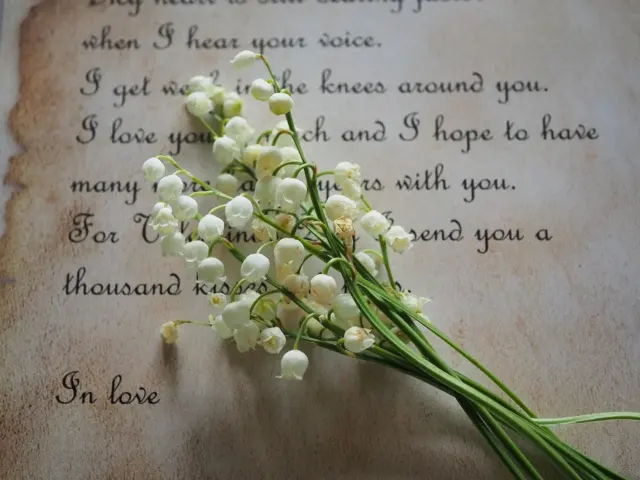 Love Poems for Her: 10 Heartfelt Lines And Simple Poems To Make Her Feel Cherished In 2026