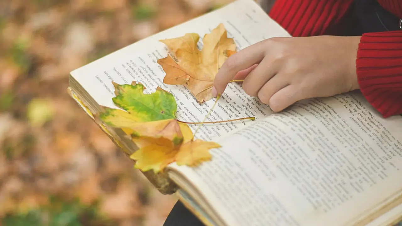 An open book with autumn leaves and a warm drink