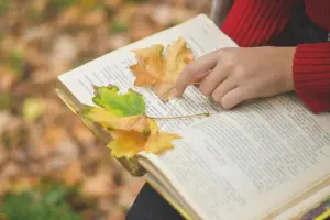 An open book with autumn leaves and a warm drink